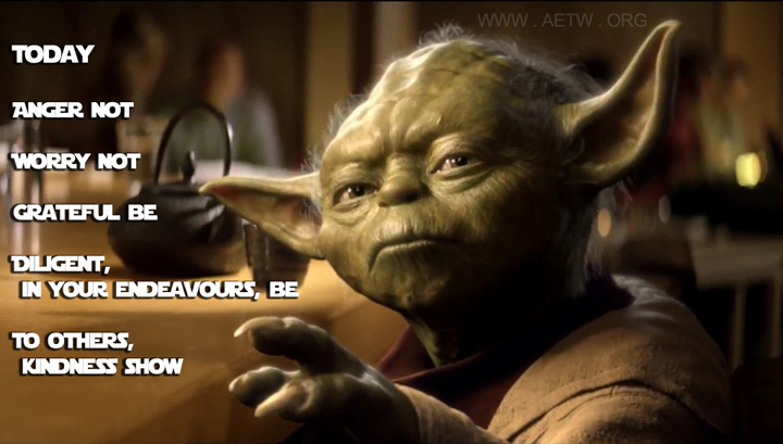 Yoda - Reiki Principles