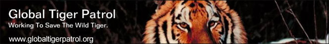Global Tiger Patrol